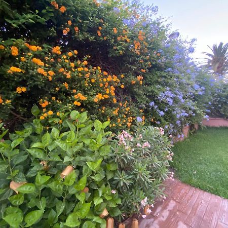 Apartamento Jardin Sanlucar Санлукар-де-Баррамеда Экстерьер фото