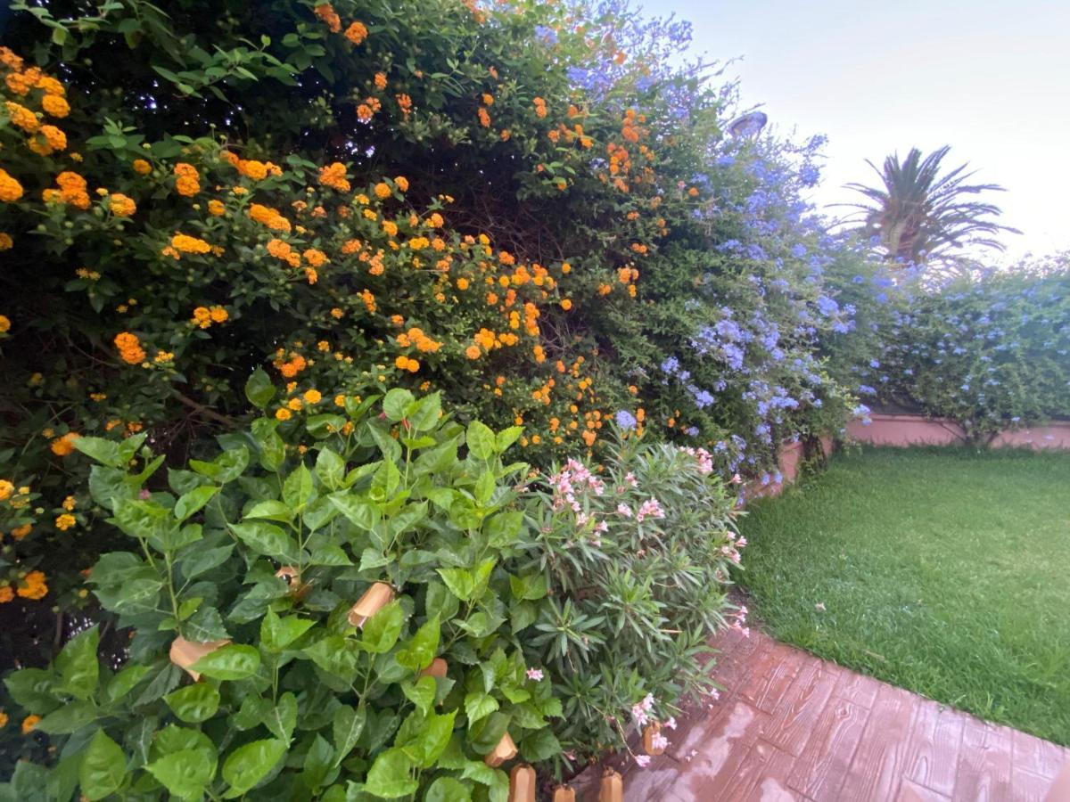 Apartamento Jardin Sanlucar Санлукар-де-Баррамеда Экстерьер фото